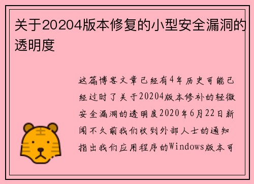 关于20204版本修复的小型安全漏洞的透明度 