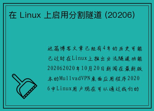 在 Linux 上启用分割隧道 (20206) 